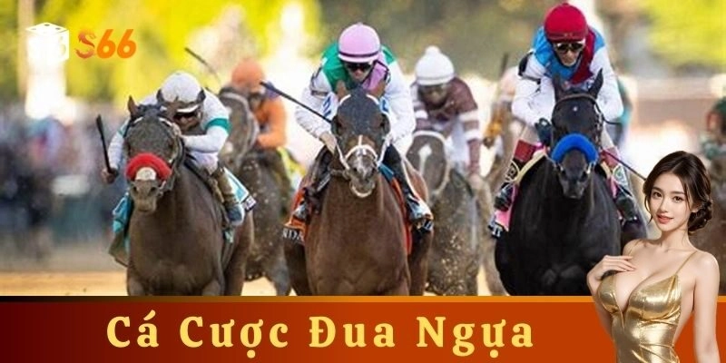 Những yếu tố cần xem xét khi cá cược đua ngựa