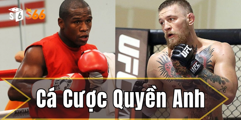 Cá Cược Quyền Anh – Bí Quyết Soi Kèo Thành Công Từ S666