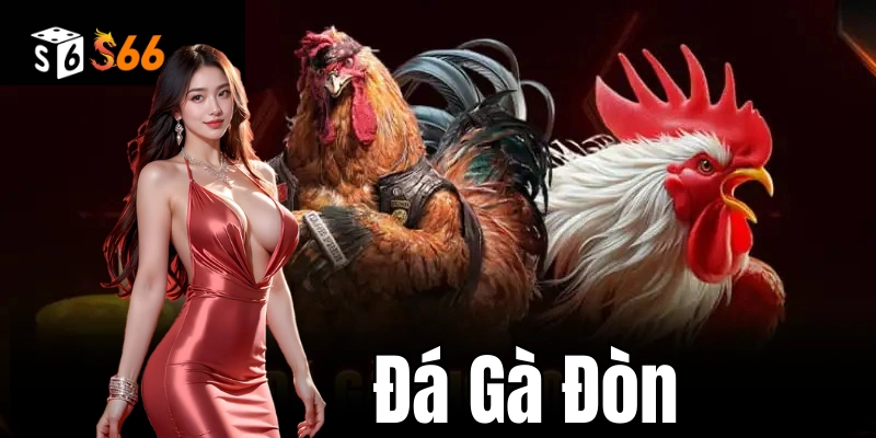 Kinh nghiệm đặt cược đá gà đòn hiệu quả