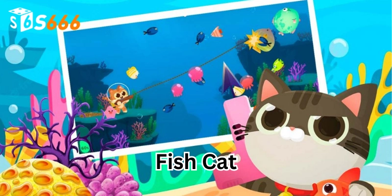 Bí kíp săn cá Fish Cat