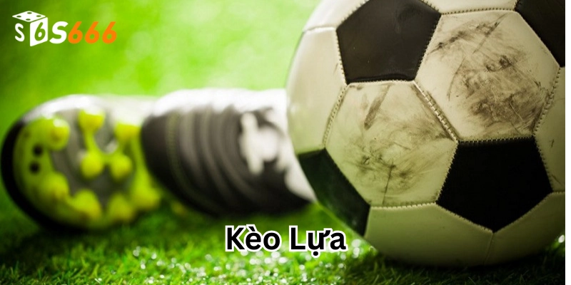 Kèo Lựa ăn bao nhiêu?